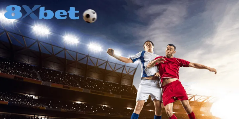 Sai lầm nghiêm trọng khi cược là tin mẹo không kiểm chứng